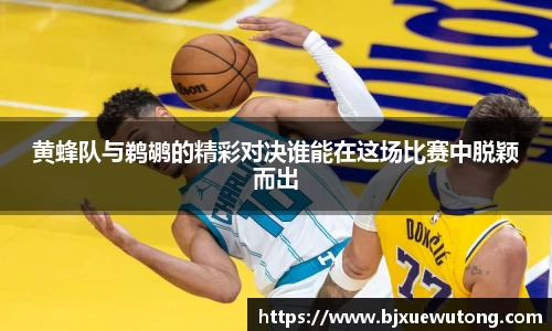 黄蜂队与鹈鹕的精彩对决谁能在这场比赛中脱颖而出